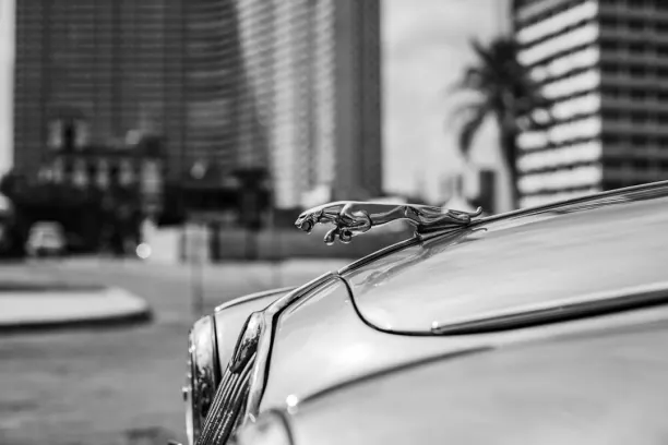 Casino Prize Land Bingo Aip Android/iOS